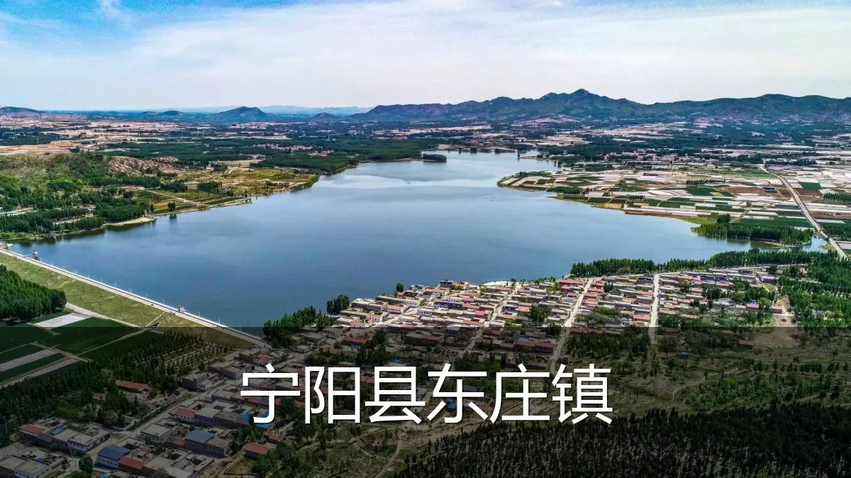 宁阳县东庄镇