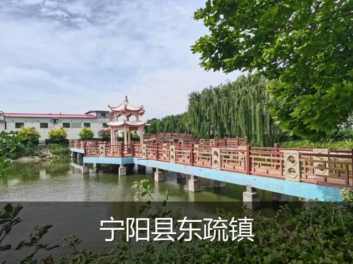 宁阳县东疏镇